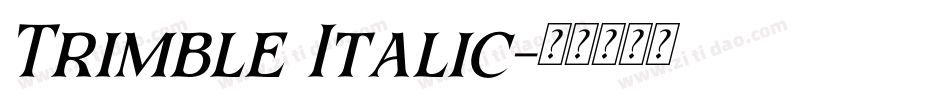 Trimble Italic字体转换
